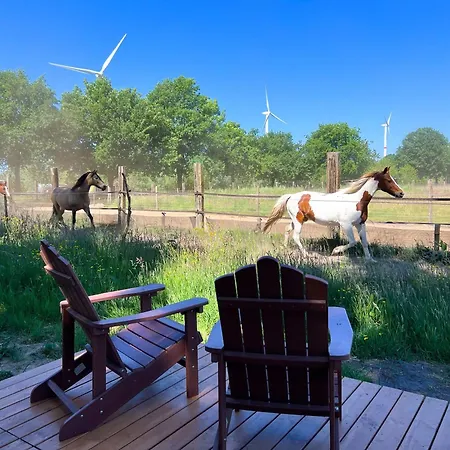 Liberty By Tiny Away Holiday home Kalmthout